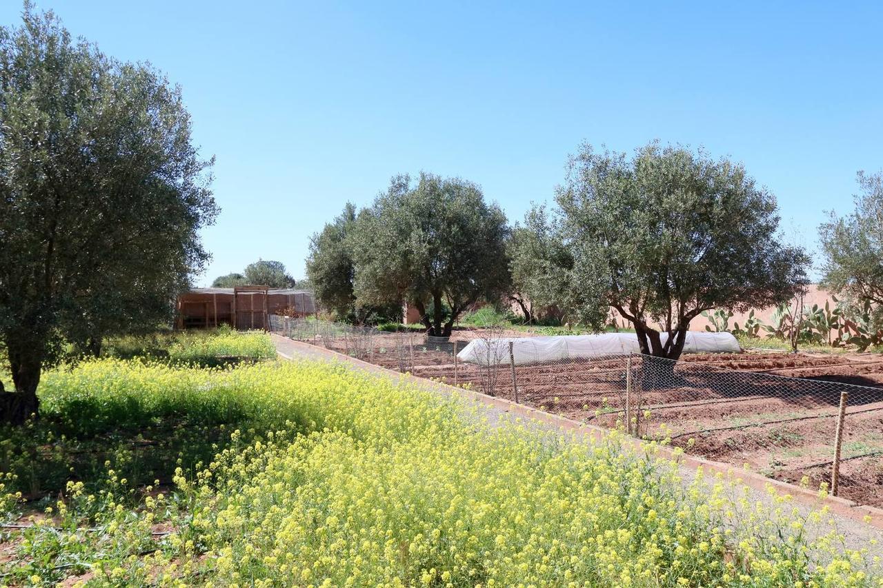 Villa Kristy Marrakesh Eksteriør billede