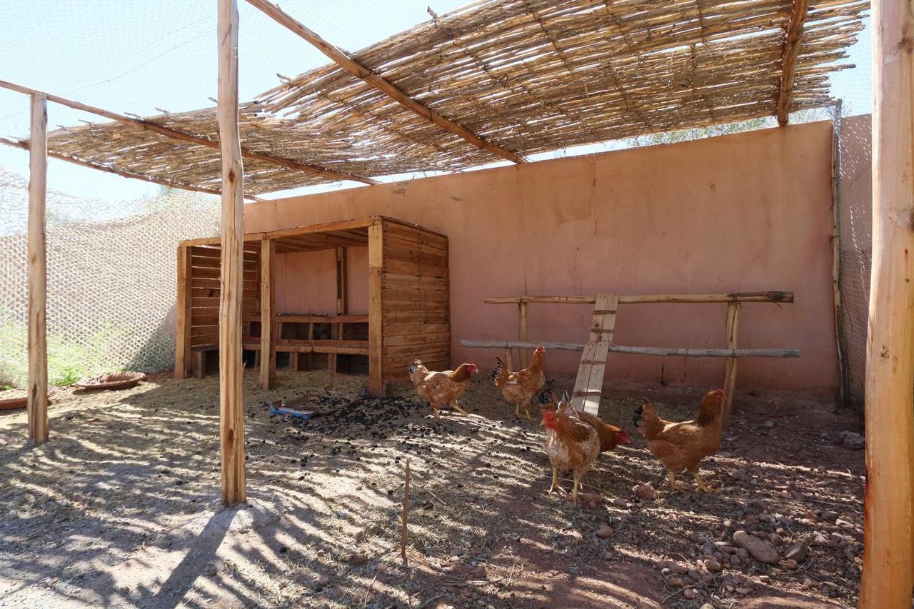 Villa Kristy Marrakesh Eksteriør billede